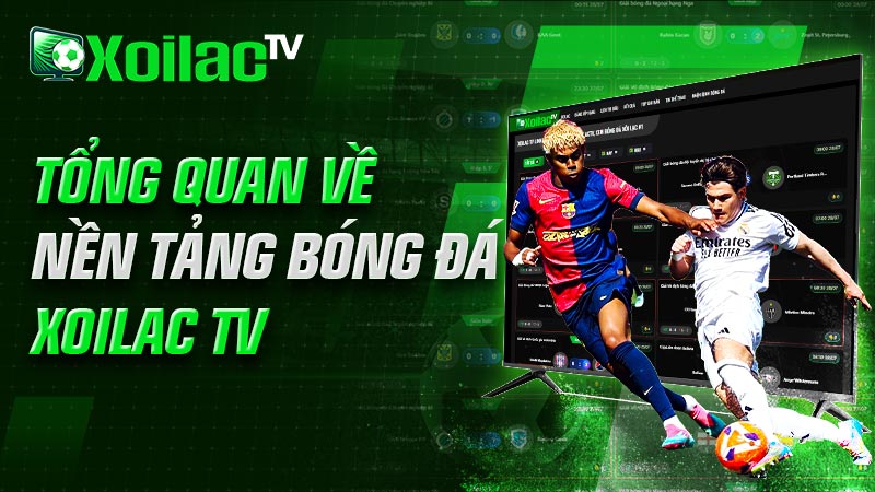 Tổng quan về nền tảng bóng đá Xoilac TV Tổng quan về nền tảng bóng đá Xoilac TV