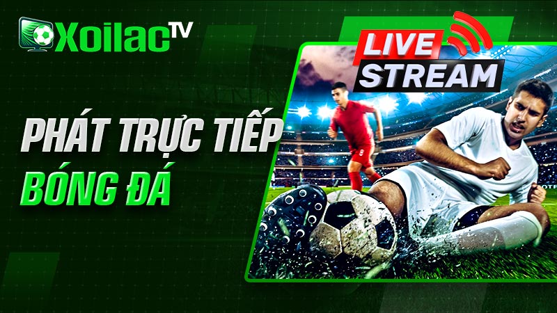 Kênh Xôi lạc tv với chức năng chủ đạo là phát trực tiếp bóng đá Kênh Xôi lạc tv với chức năng chủ đạo là phát trực tiếp bóng đá