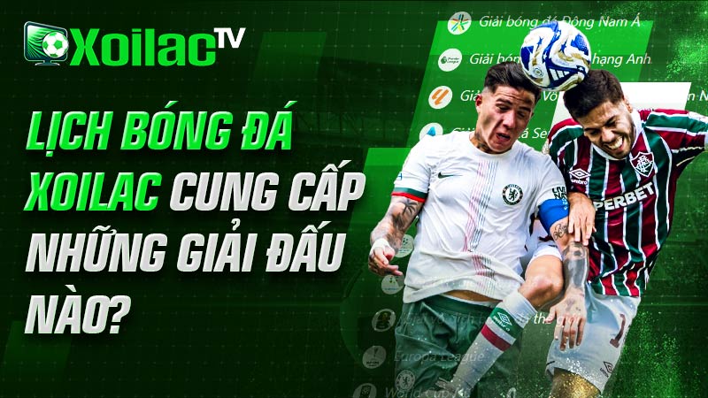Toàn bộ những giải đấu được xoilac tv cung cấp ở chuyên mục lịch thi đấu Toàn bộ những giải đấu được xoilac tv cung cấp ở chuyên mục lịch thi đấu